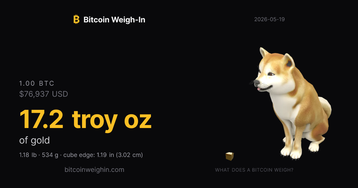 bitcoinweighin.com image